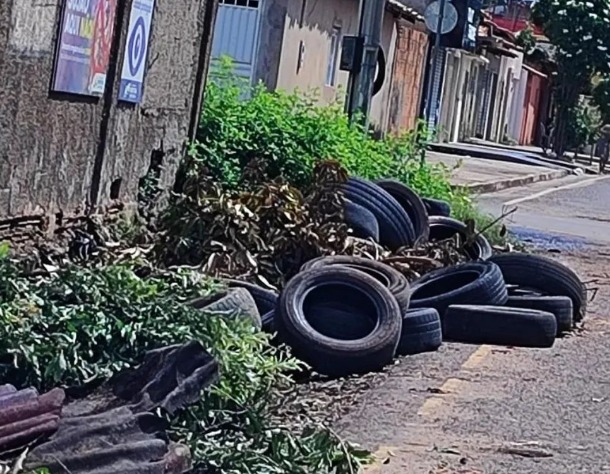 Combater locais que podem ser criadouros do mosquito é prioridade