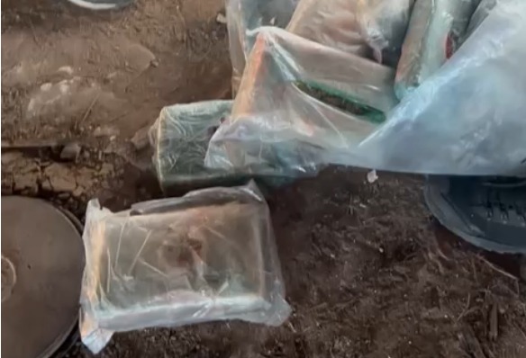 Polícia Civil destrói drogas apreendidas em Imperatriz e na região